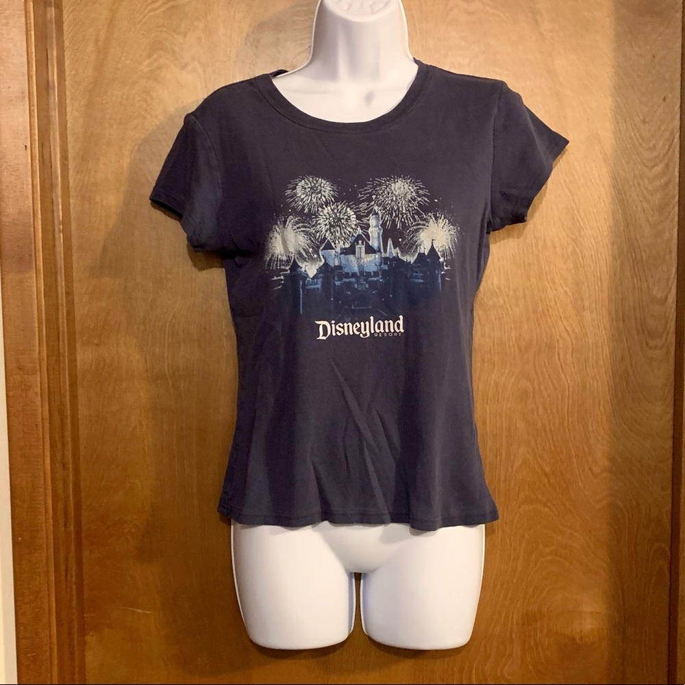 Disney Parks Disneyland Castle